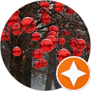 Szilvia Nagy profile picture